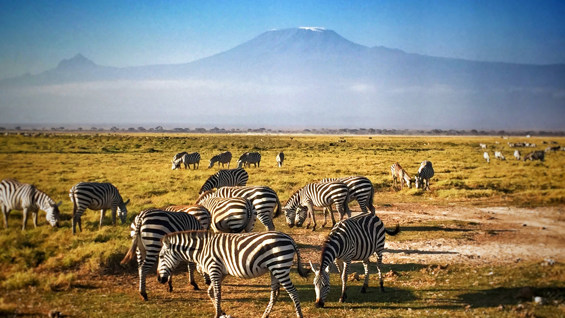 amboseli national park amboseli national park