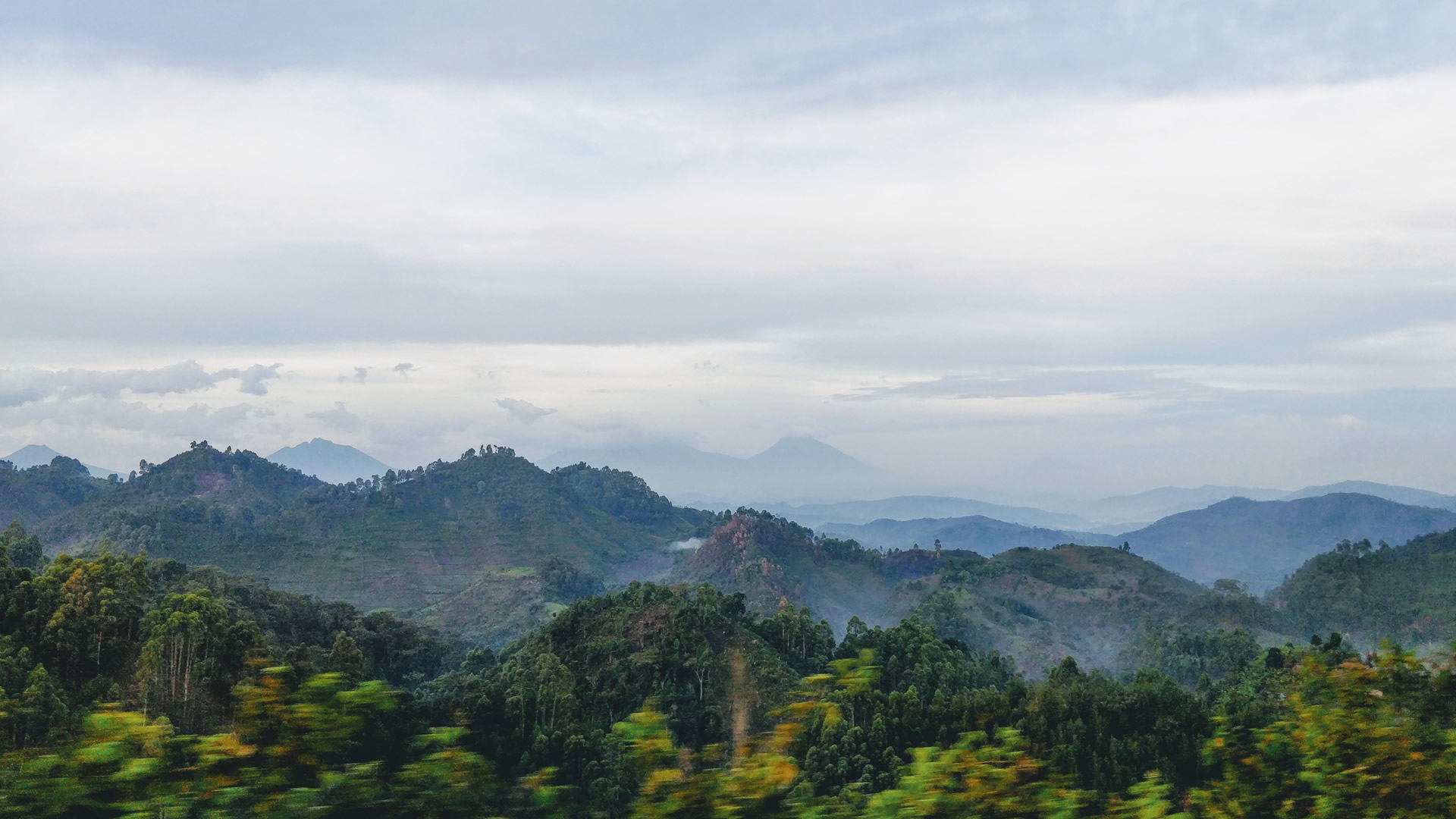 bwindi impenetrable forest bwindi impenetrable forest