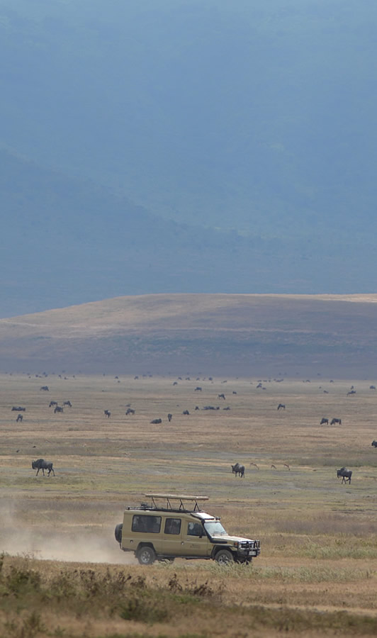 ngorongoro conservation area