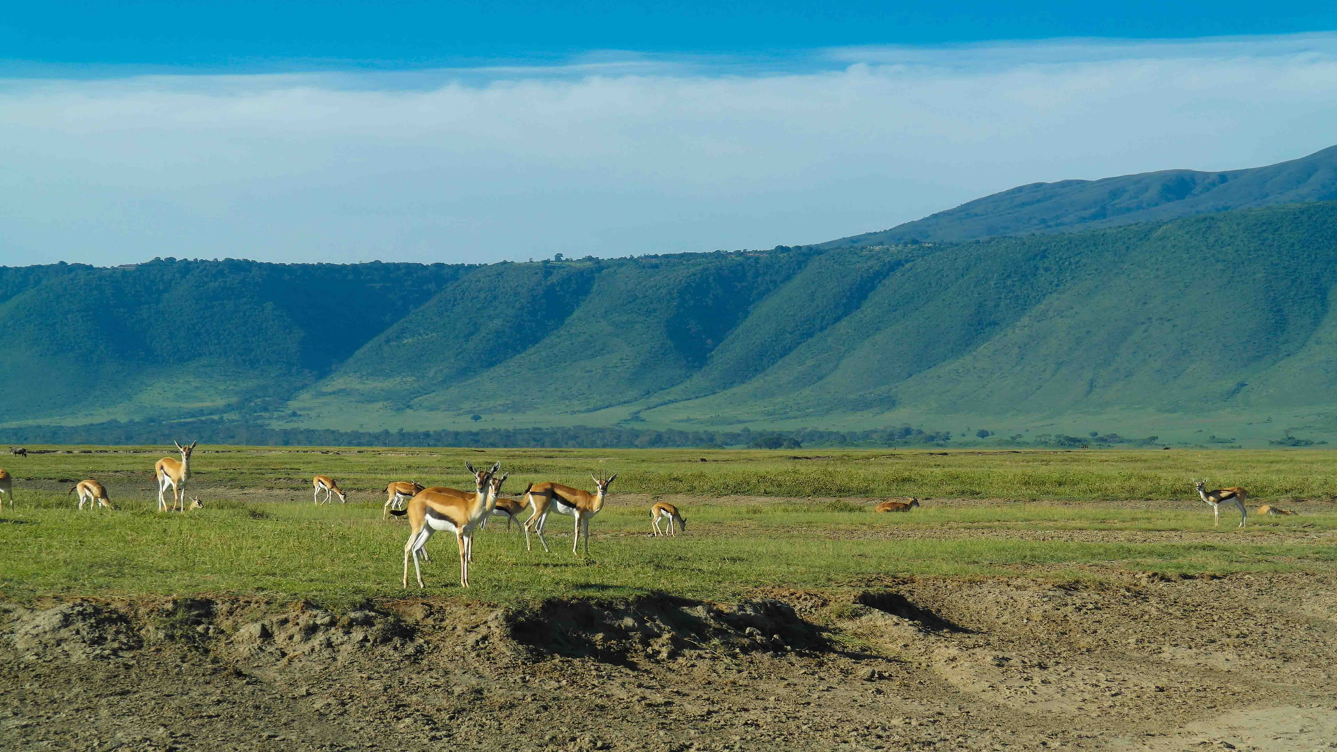 ngorongoro conservation area ngorongoro conservation area
