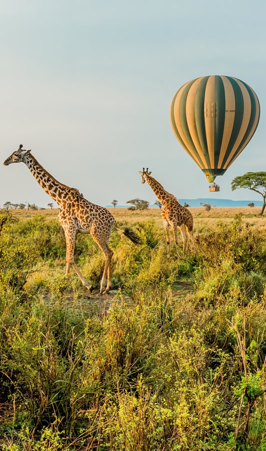 serengeti national park