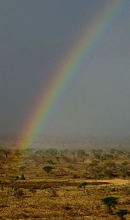 meru national park