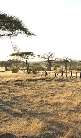 ruaha national park