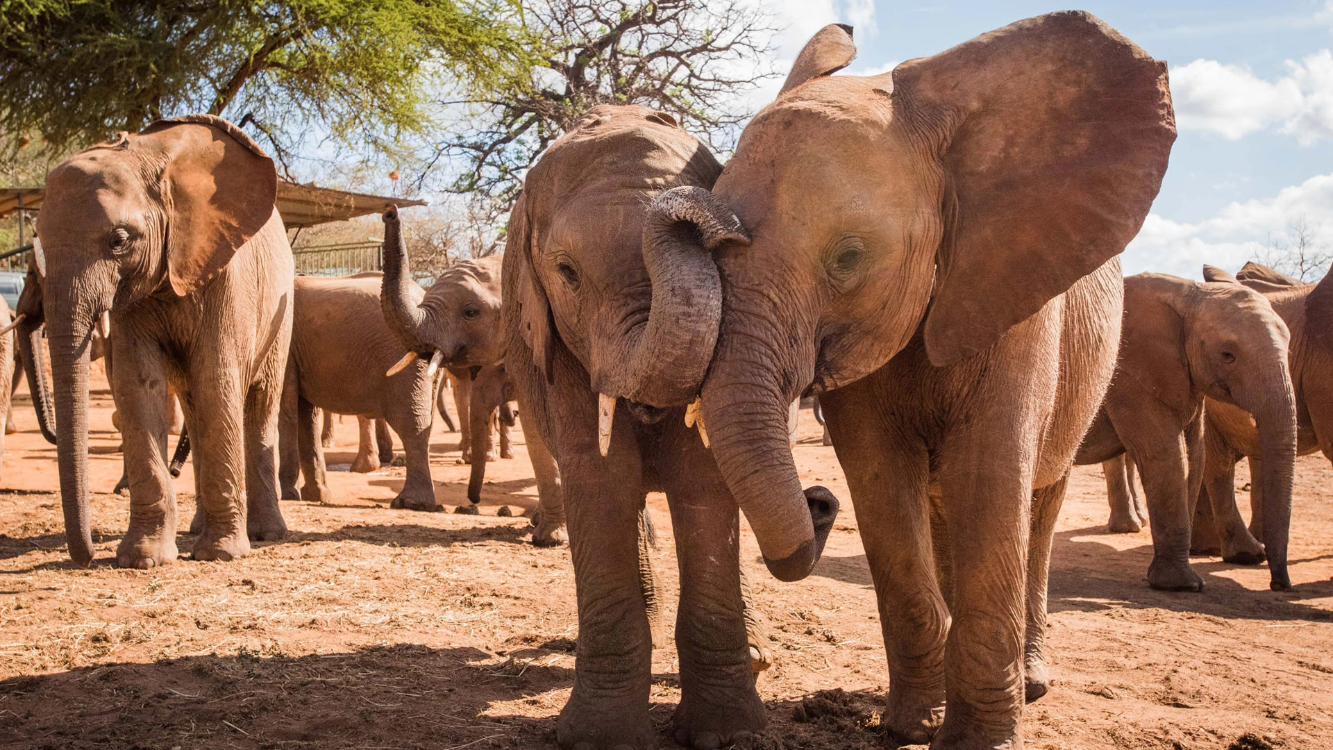 tsavo east national park tsavo east national park